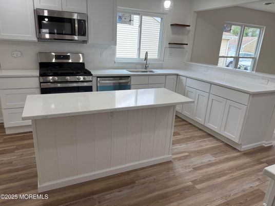 Interior, Kitchen, Stainless Steel Appliances, Wood Texture Flooring