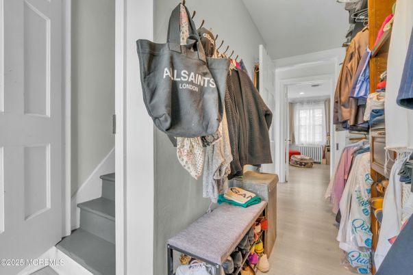 Interior, Walk-in Closets, Wood Texture Flooring