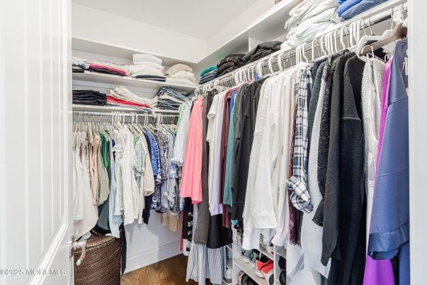 Interior, Walk-in Closets, Wood Texture Flooring