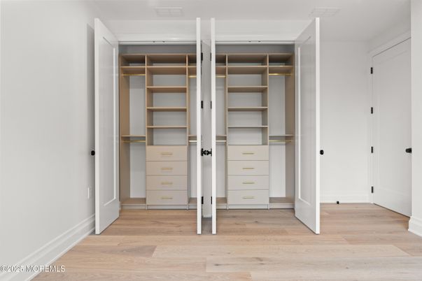Interior, Walk-in Closets, Wood Texture Flooring