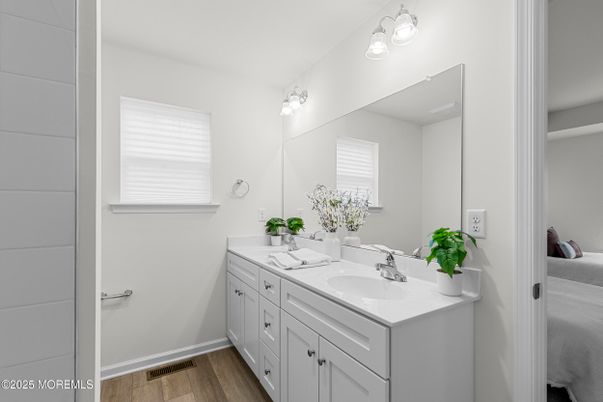 Bathroom, Dual Sink Vanities, Interior, Wood Texture Flooring