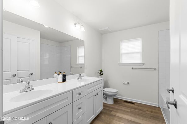 Bathroom, Dual Sink Vanities, Interior, Wood Texture Flooring
