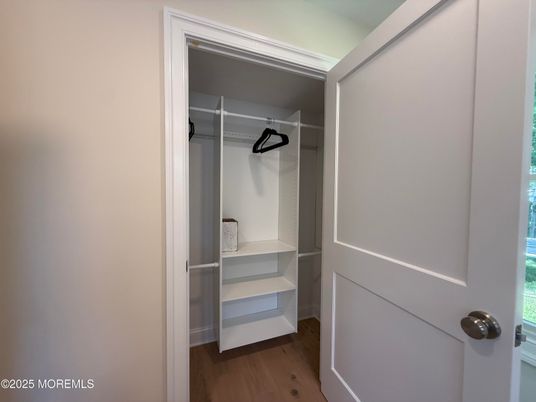 Interior, Walk-in Closets, Wood Texture Flooring