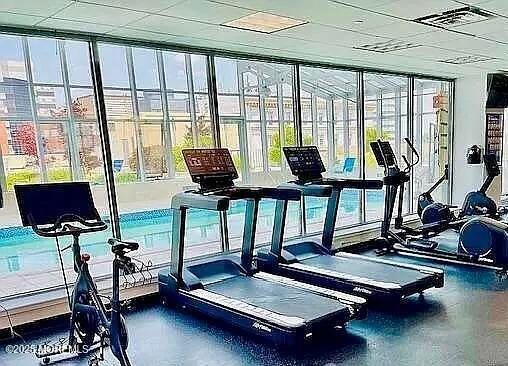 Fitness Equipment, Gym, Interior, Sun Room
