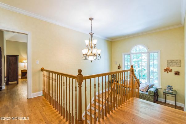 Chandelier, Interior, Wood Texture Flooring