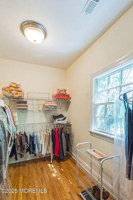 Interior, Walk-in Closets, Wood Texture Flooring