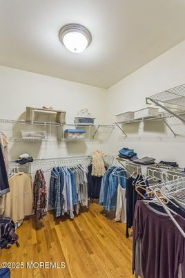 Interior, Walk-in Closets, Wood Texture Flooring