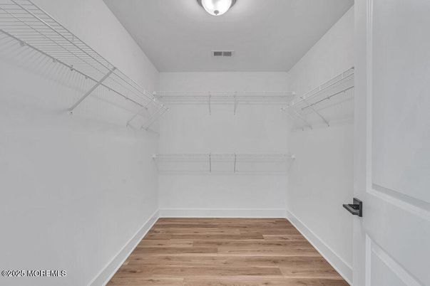 Interior, Walk-in Closets, Wood Texture Flooring