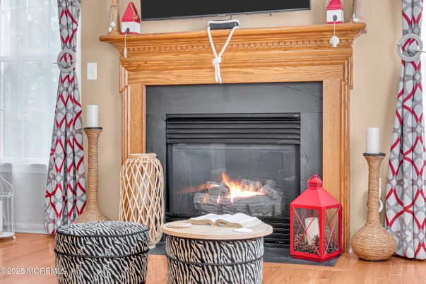 Fireplace, Interior, Wood Texture Flooring