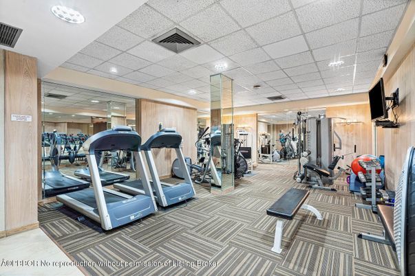 Fitness Equipment, Gym, Interior, Recessed Lighting, Wooden Walls