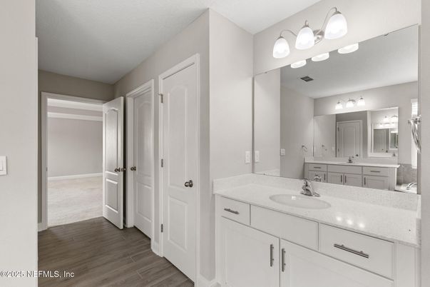 Bathroom, Dual Sink Vanities, Interior, Wood Texture Flooring