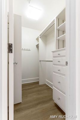 Interior, Walk-in Closets, Wood Texture Flooring