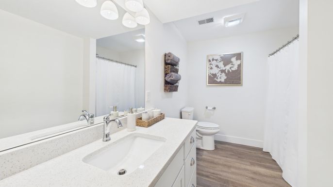 Bathroom, Dual Sink Vanities, Interior, Wood Texture Flooring