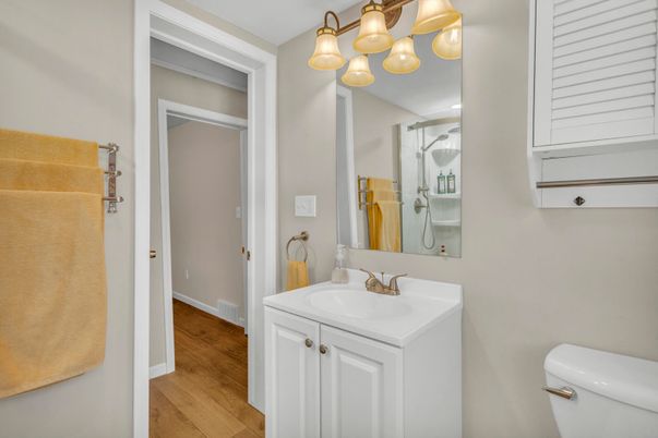Bathroom, Interior, Wood Texture Flooring
