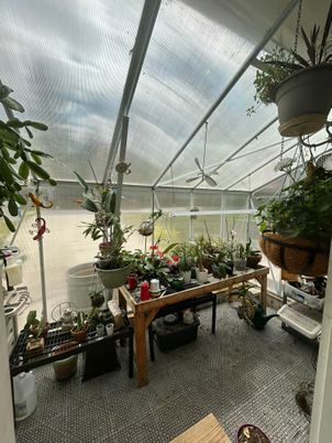 Interior, Sun Room