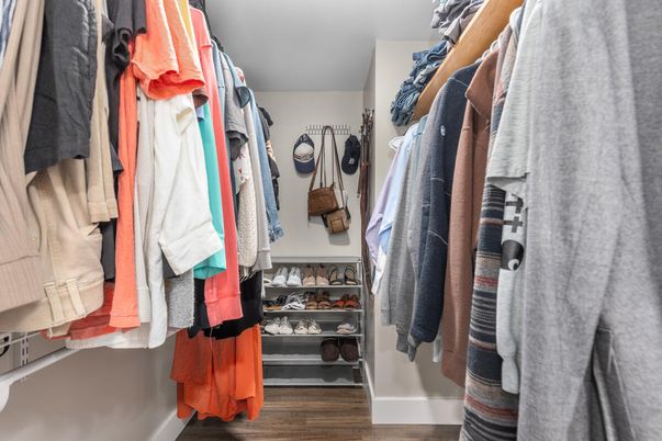 Interior, Walk-in Closets, Wood Texture Flooring