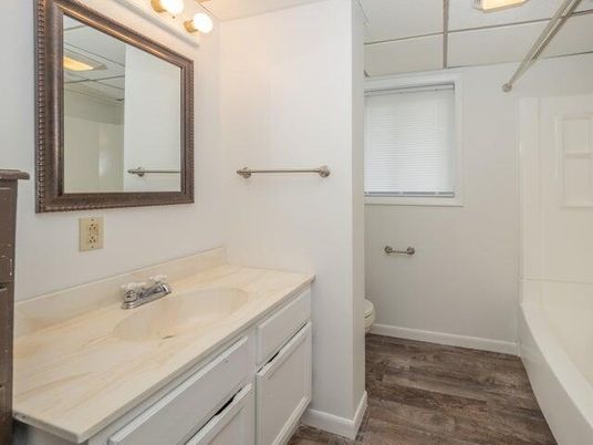 Bathroom, Interior, Wood Texture Flooring
