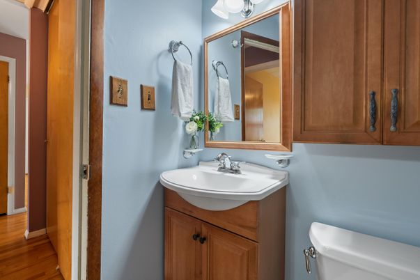 Bathroom, Interior, Wood Texture Flooring