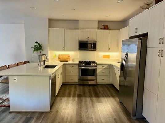 Interior, Kitchen, Recessed Lighting, Stainless Steel Appliances, Wood Texture Flooring