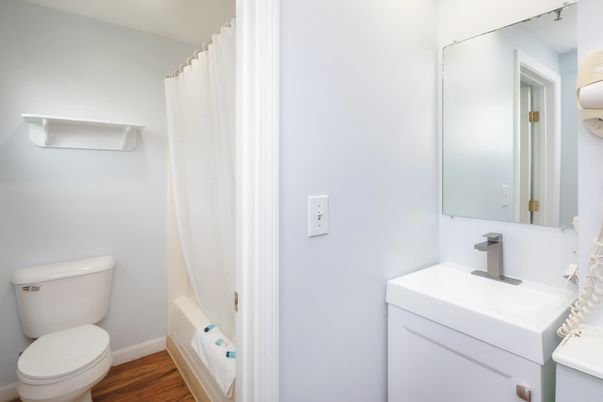 Bathroom, Interior, Wood Texture Flooring