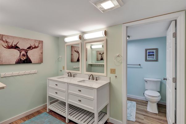 Bathroom, Interior, Wood Texture Flooring