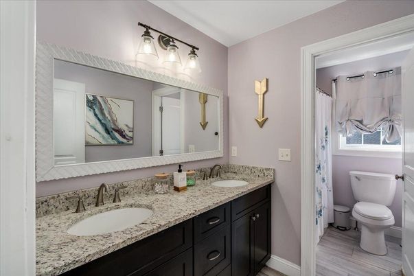Bathroom, Dual Sink Vanities, Interior, Wood Texture Flooring