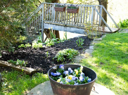 Backyard, Exterior