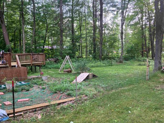 Backyard, Exterior, Playground