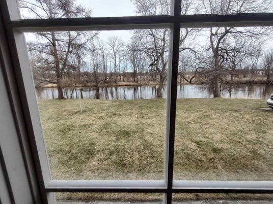 Backyard, Exterior, Water