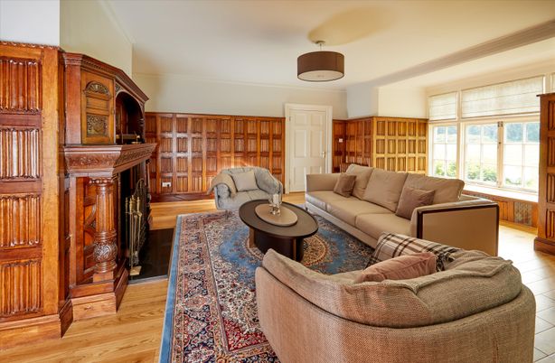 Fireplace, Interior, Living room, Wood Texture Flooring
