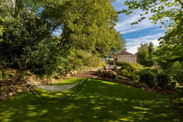 Backyard, Detached Garage, Exterior