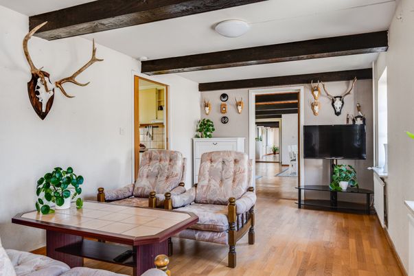 Interior, Living room, Wooden Beams, Wood Texture Flooring