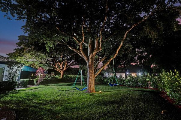 Backyard, Exterior, Playground