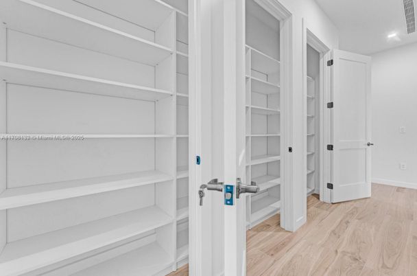 Interior, Recessed Lighting, Walk-in Closets, Wood Texture Flooring