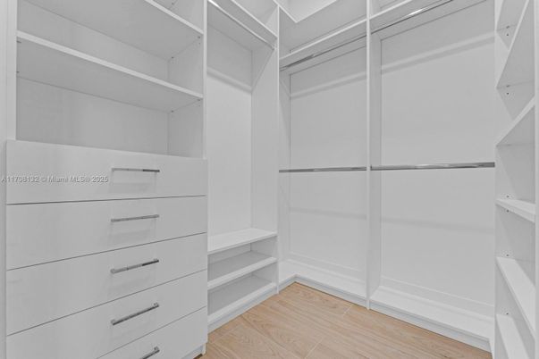 Interior, Walk-in Closets, Wood Texture Flooring