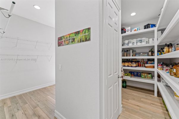 Interior, Recessed Lighting, Walk-in Closets, Wood Texture Flooring