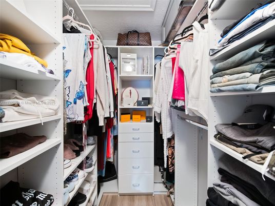 Interior, Walk-in Closets, Wood Texture Flooring