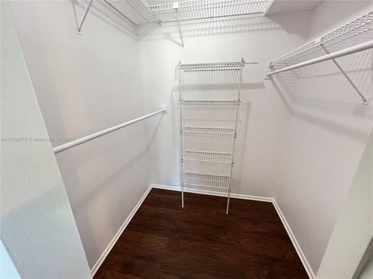 Interior, Walk-in Closets, Wood Texture Flooring