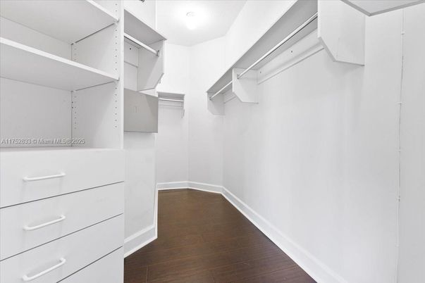 Interior, Walk-in Closets, Wood Texture Flooring