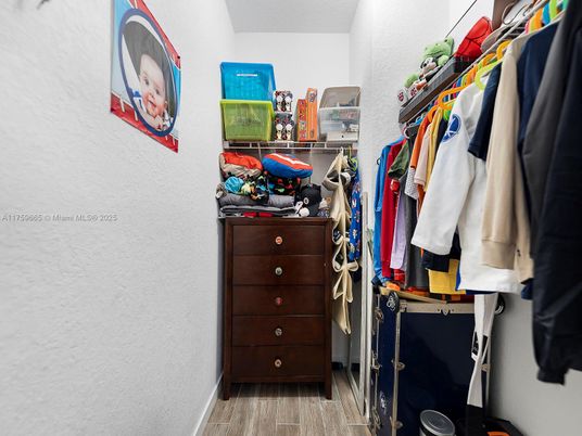 Interior, Walk-in Closets, Wood Texture Flooring