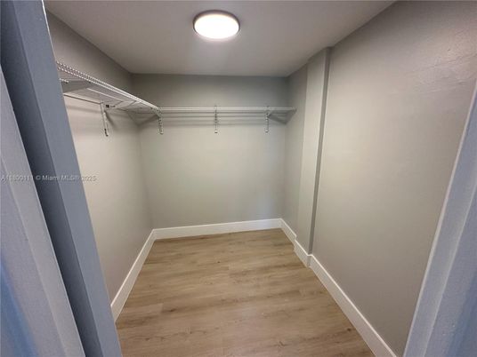 Interior, Walk-in Closets, Wood Texture Flooring