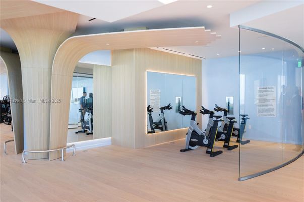 Fitness Equipment, Interior, Recessed Lighting, Wood Texture Flooring