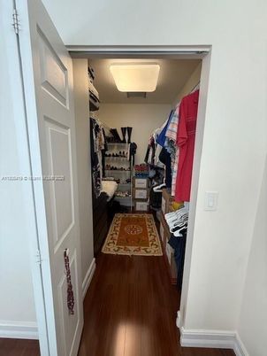 Interior, Walk-in Closets, Wood Texture Flooring