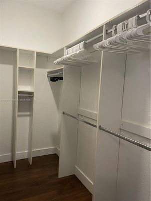 Interior, Walk-in Closets, Wood Texture Flooring