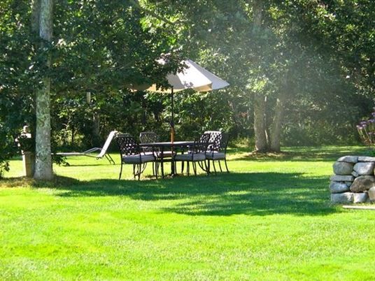 Exterior, Backyard
