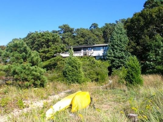 Exterior, Backyard