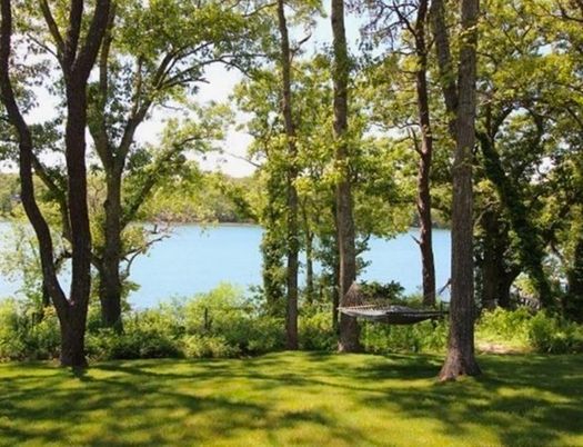 Exterior, Backyard
