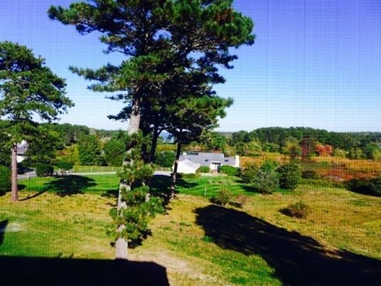 Exterior, Backyard