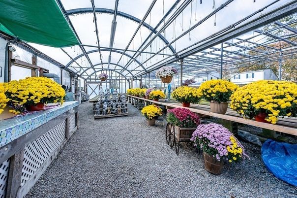 Glass Ceilings, Interior, Sun Room