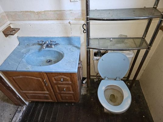 Bathroom, Interior, Wood Texture Flooring